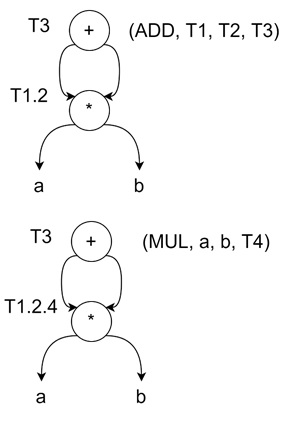 DAG Construction Process