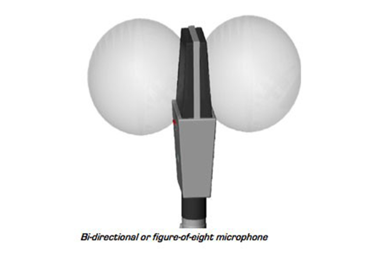 Bidirectional Microphones