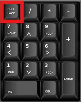 Num Lock and Apple Keyboards