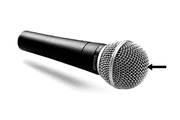 Omnidirectional Microphones