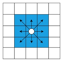 8-Connected Polygons