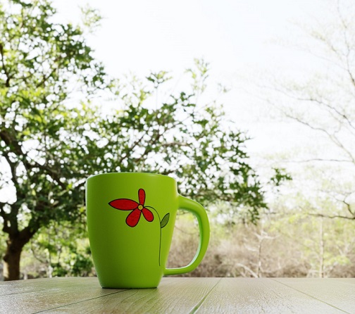 Rendering in Computer Graphics