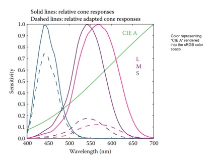 Von Kries Adaptation Model