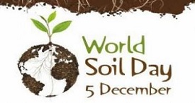Soil Day