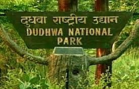 Dudhwa National Park