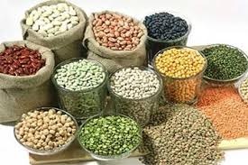NFSM-Pulses