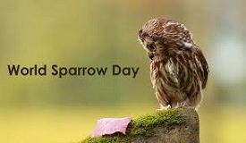World Sparrow Day