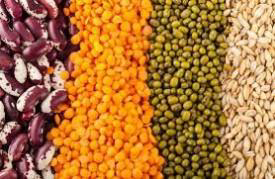 Government Guarantee