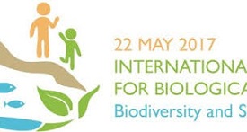 Biological Diversity