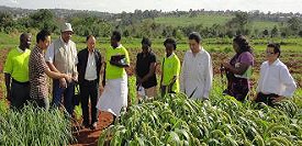 Agricultural Rural Development