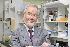 Yoshinori Ohsumi