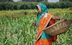 Mahindra launched Prerna