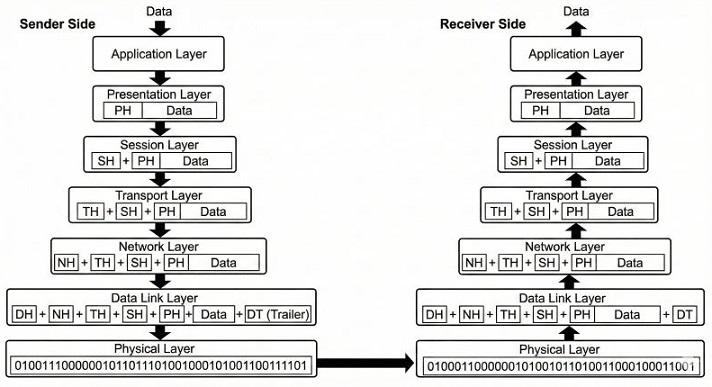 OSI Model Data Flow and Encapsulation