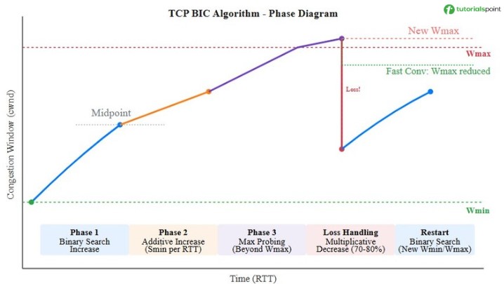 TCP BIC algorithm Phase Diagram