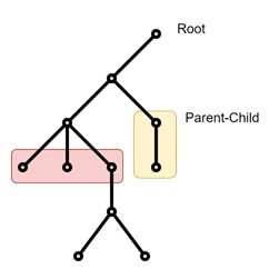Structure of Rooted Trees