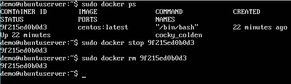 Docker Stop