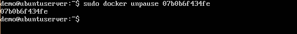 Docker Unpause
