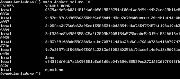 Listing All Volumes Output