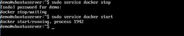 Service Docker Start