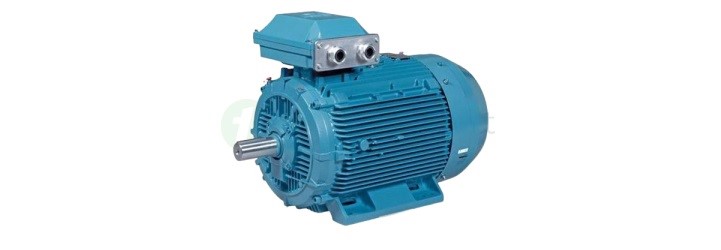 Synchronous Motor