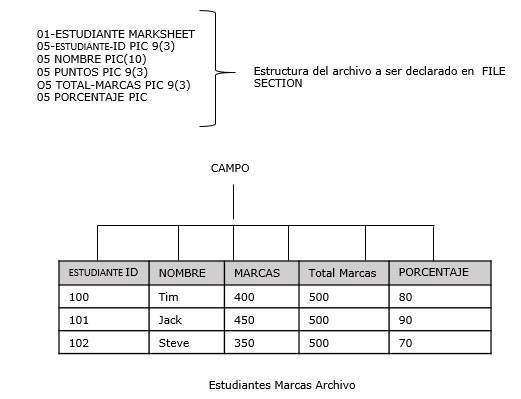 trminos bsicos de campo