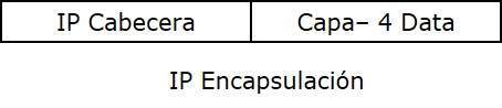 IP encapsulacin