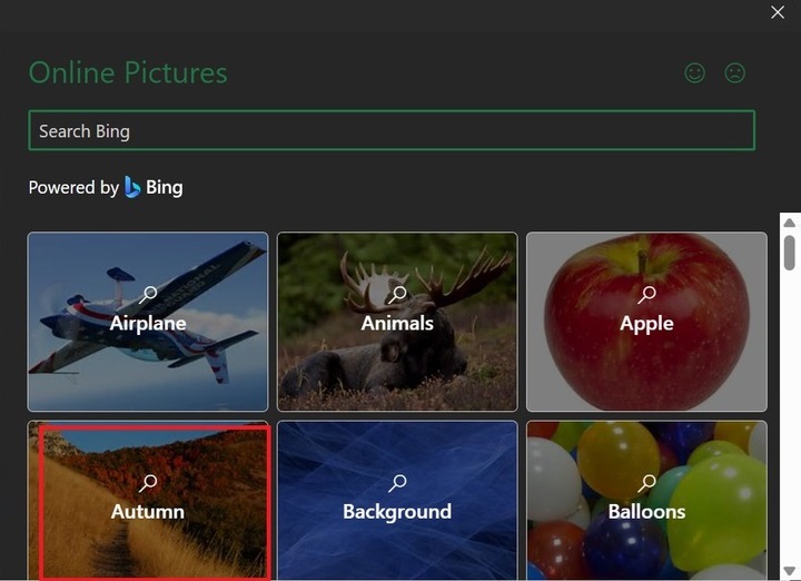 Add SmartArt Graphics with Image 4
