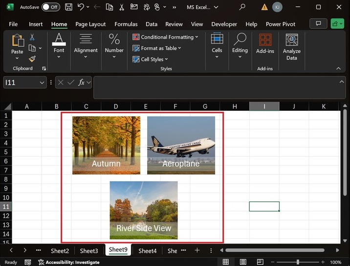 Add SmartArt Graphics with Image 6