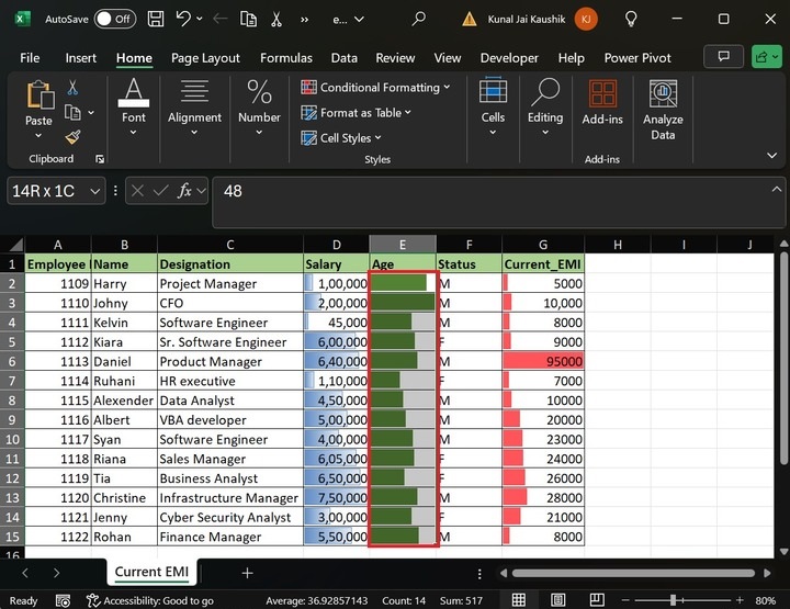 Hide Numbers and Show Data Bars 4