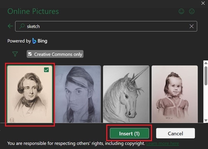 Insert a Sketch from Online Pictures in Excel 1