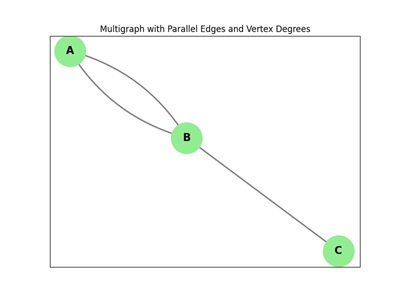 Multigraph Degree