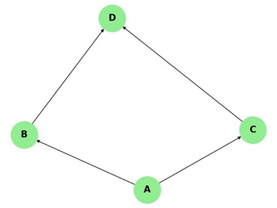 Rooted Directed Graph