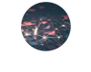 Neural Networks