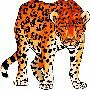 Beautiful Animals Clipart 94