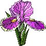 Beautiful Flowers Clipart 66