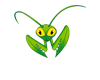 Mantis