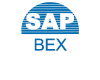 SAP Bex