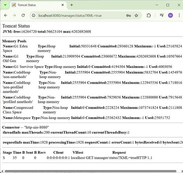 Tomcat Manager Status