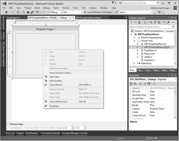 Propage in Designer Window