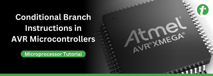Conditional Branch Instructions in AVR Microcontroller