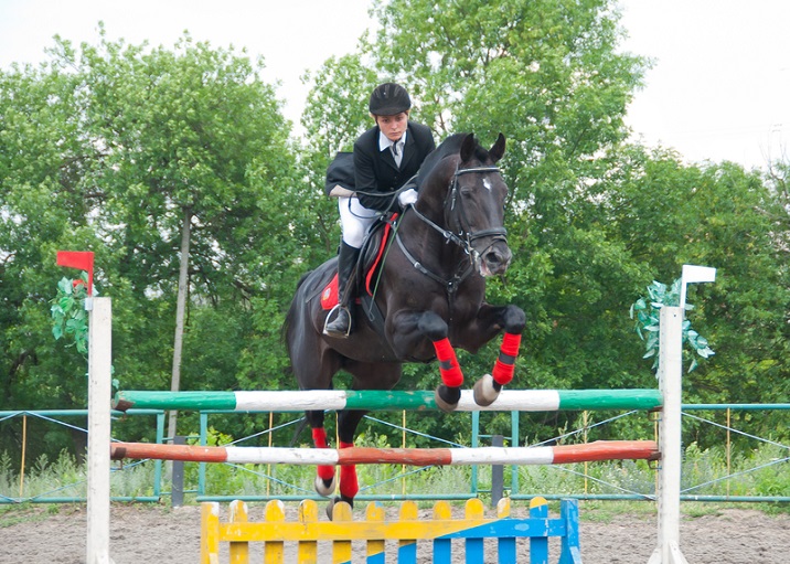 Show Jumping
