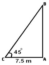 Height & Distance Solution 1