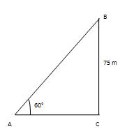 Height & Distance Solution 20
