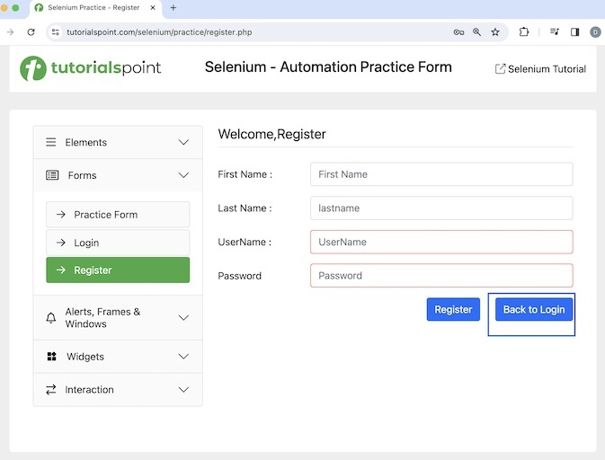Selenium JUnit Report 2