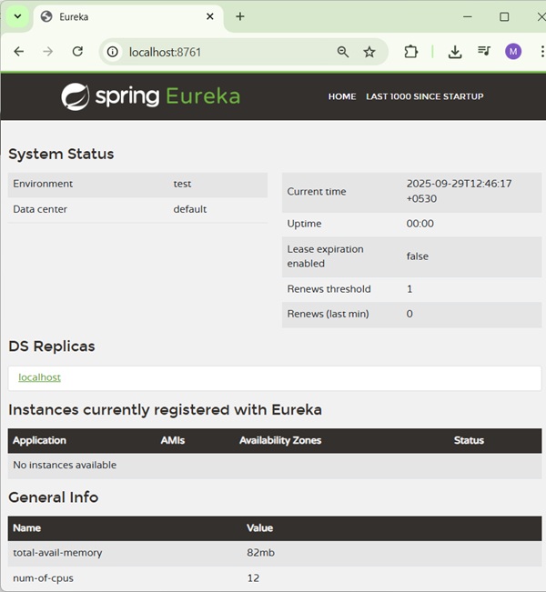 Eureka Server Running on port 8761