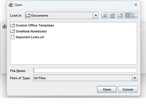 Show Open file dialog
