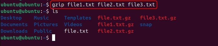 Compress Multiple Files Simultaneously in gzip