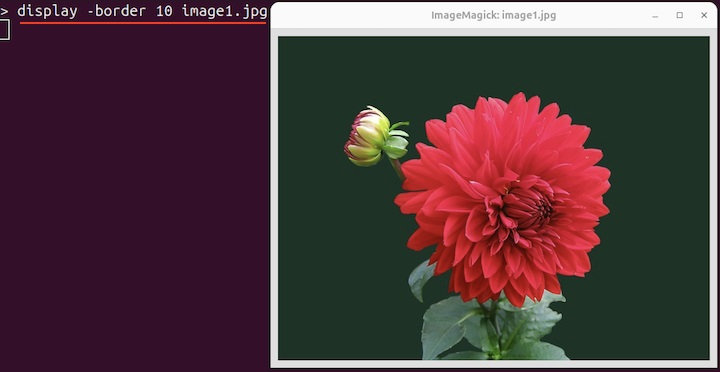 Display Image with Border and Border Color 1