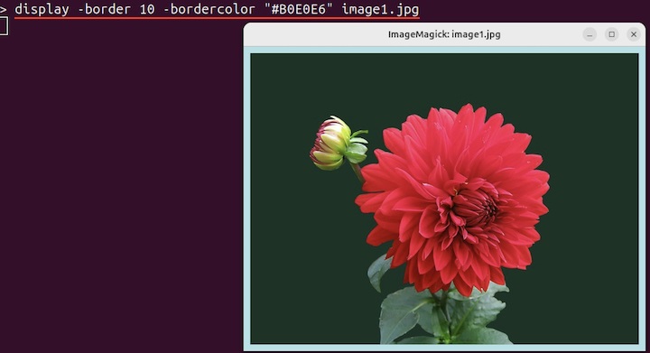 Display Image with Border and Border Color 2