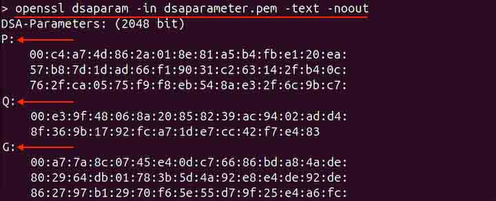 Displaying Parameters of Parameter File